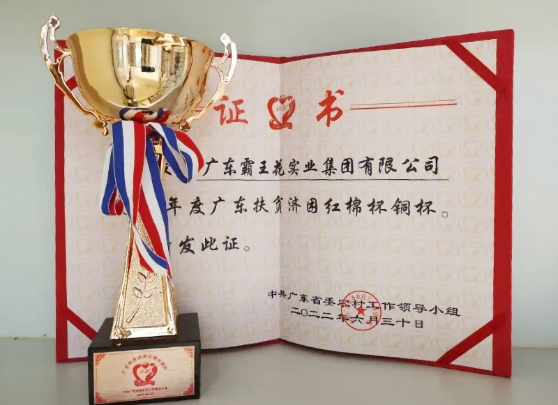 2022年7月18日，开云足球体育再次被授予2021年度广东扶贫济困红棉杯铜杯荣誉。
